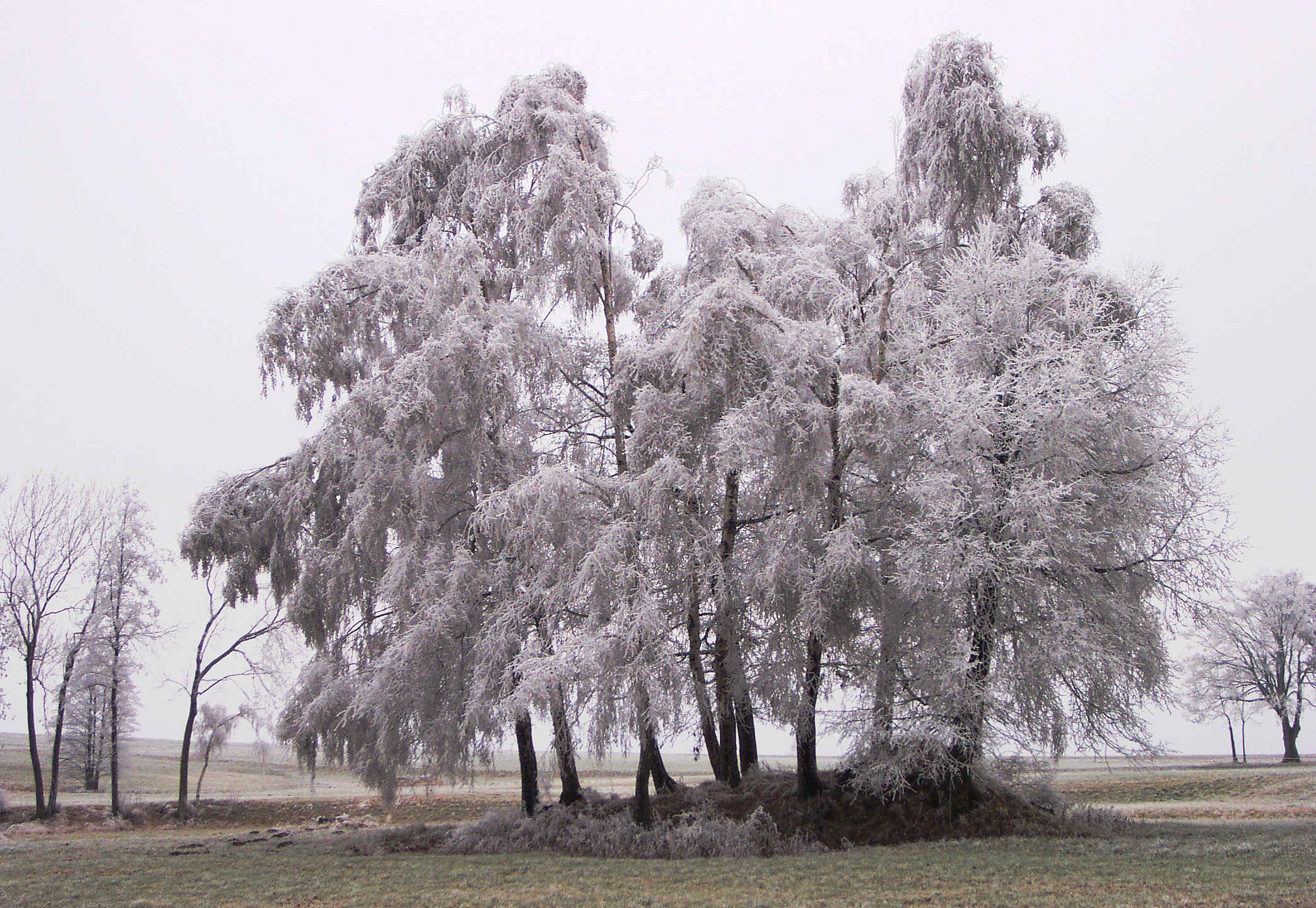 Zur�ck