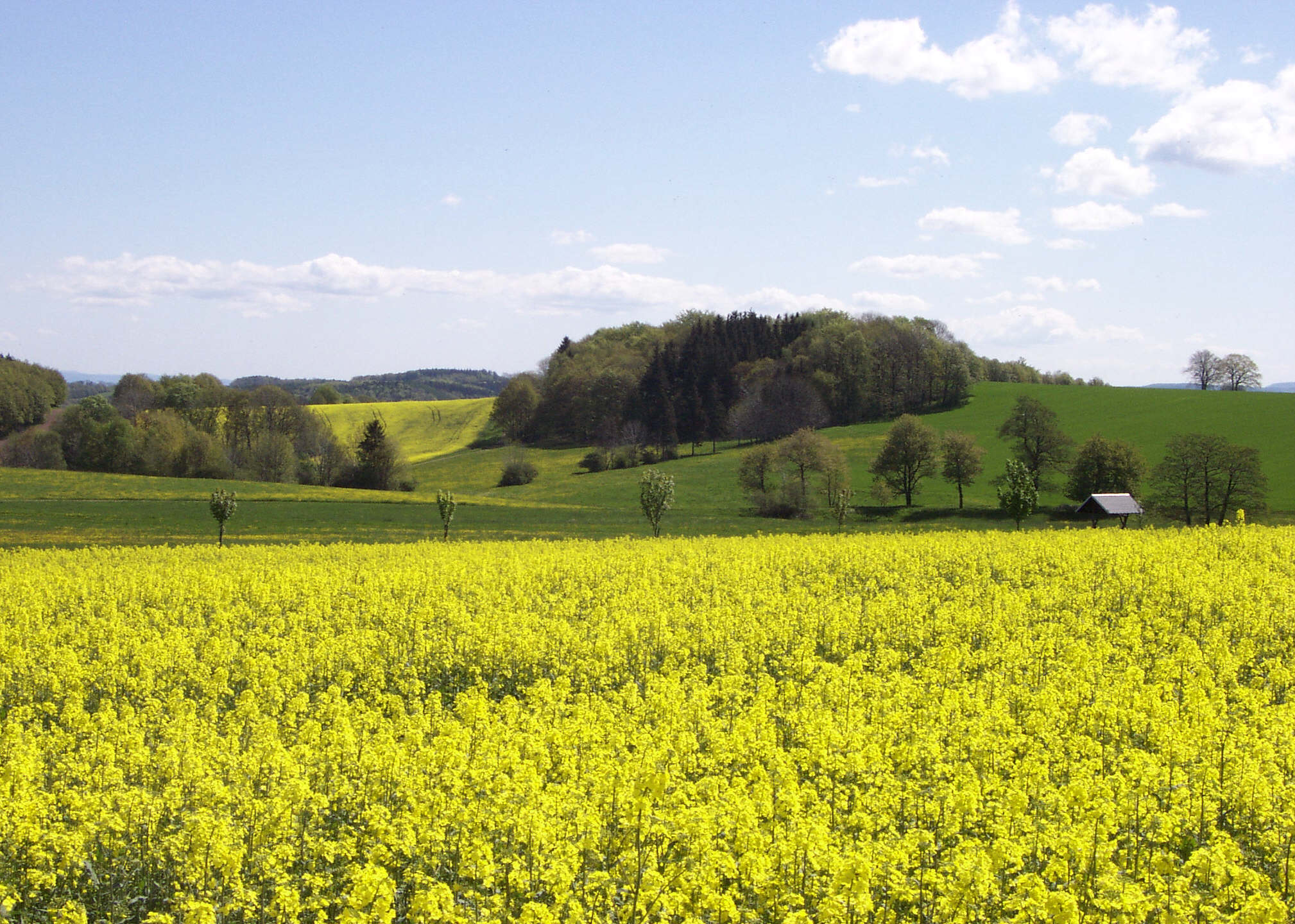 Zur�ck