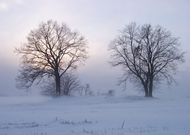 Zur�ck zur Wanderung